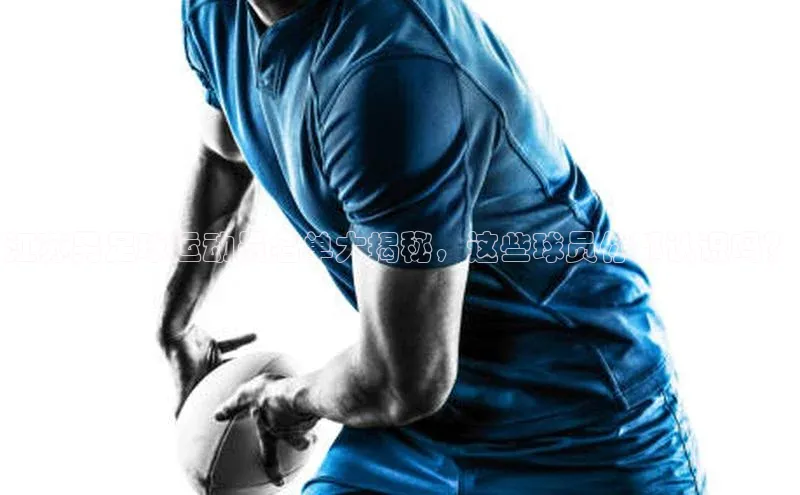 人人体育官方正版下载安装云创智行