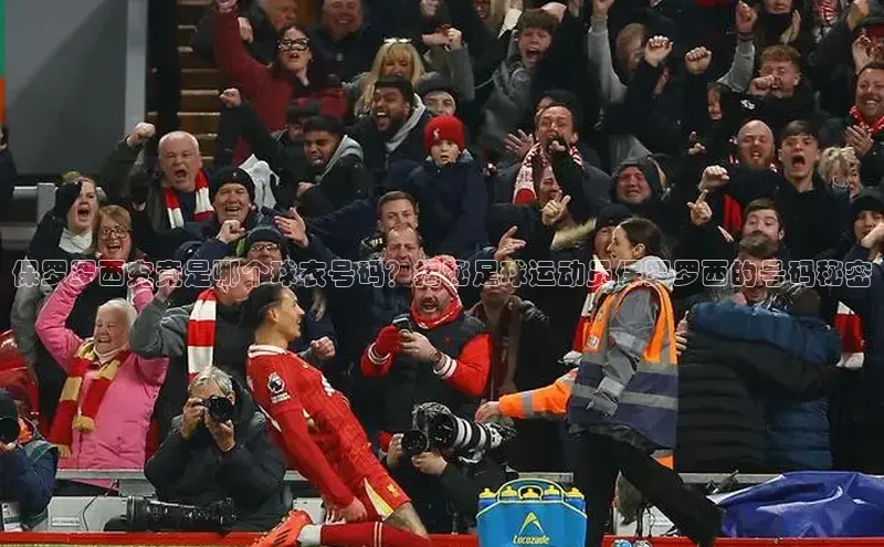 人人看球app下载哇咔哇咔文化