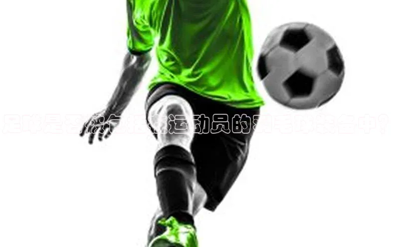 人人体育app官方下载最新版本百度众测