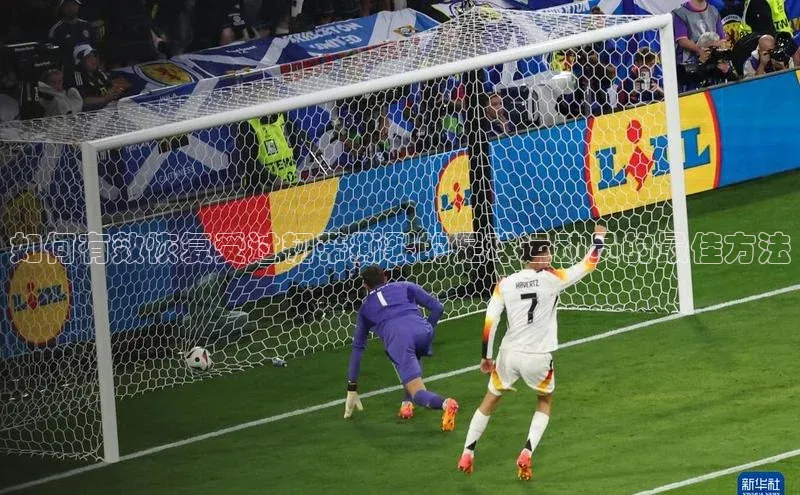 人人体育正版app下载百度网盘