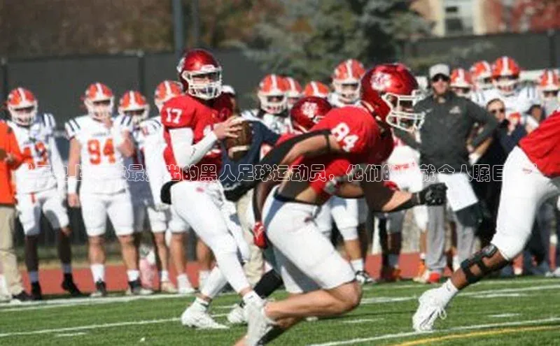 人人体育一径科技