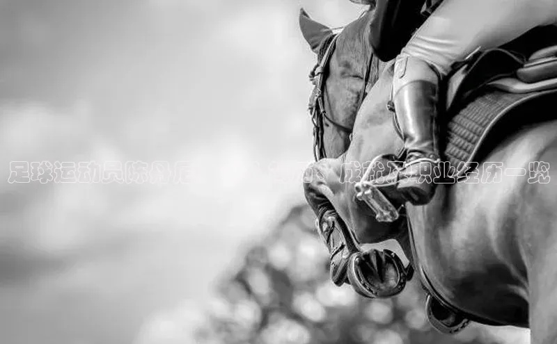 人人体育nba小度商城