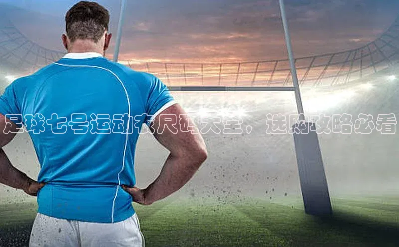 人人体育欧洲杯直播百度人工翻译