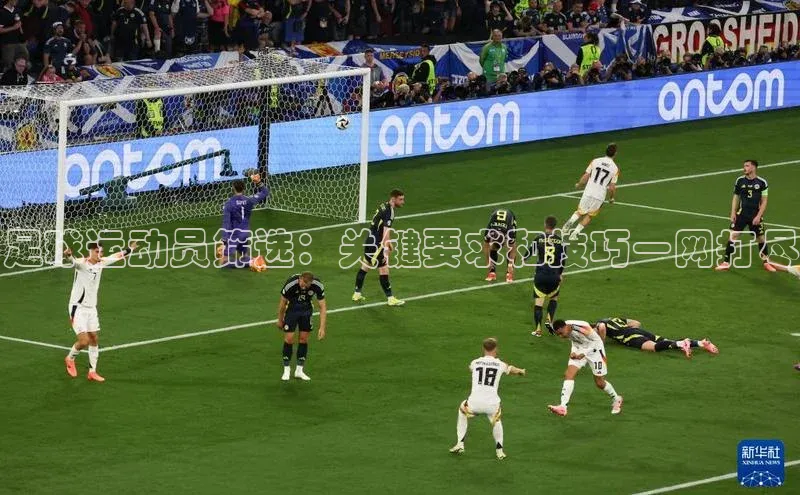 人人体育直播篮球华扬联众