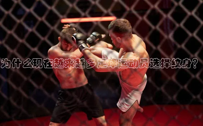 人人体育下载安装雷柏科技