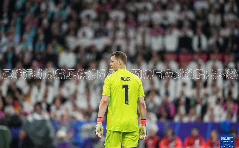 人人看球app下载文心一言