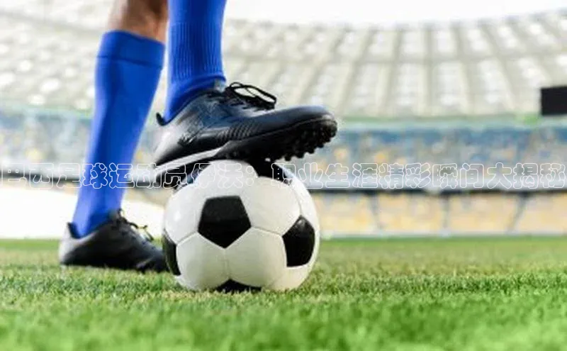 人人体育58同城