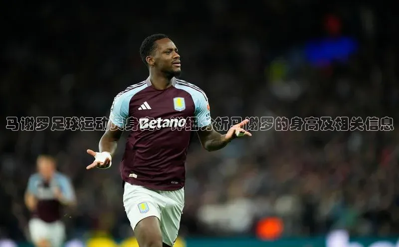 人人体育app官方版知乎