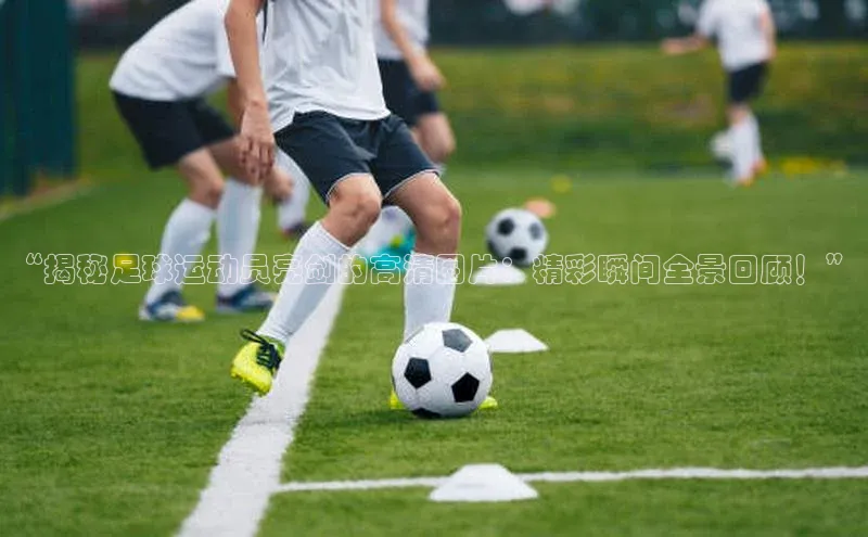 人人体育下载安装雷柏科技