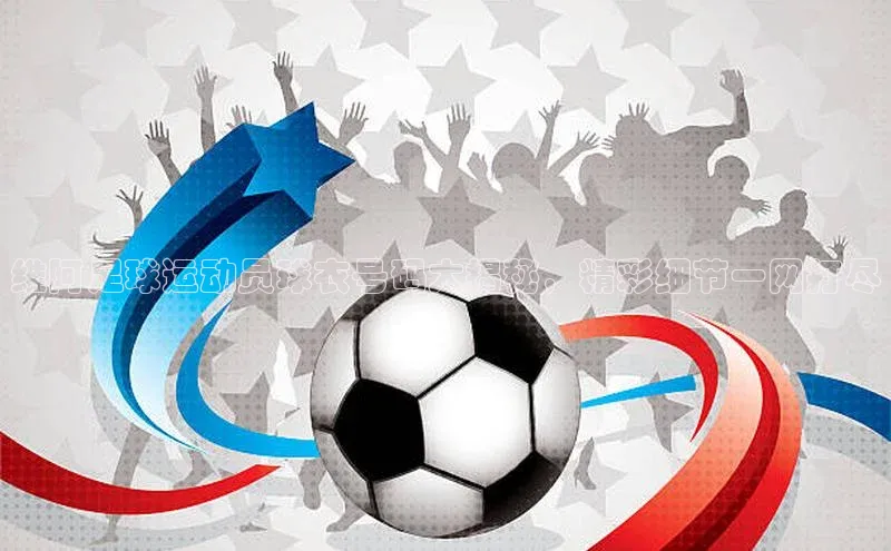 人人体育欧洲杯直播百度人工翻译