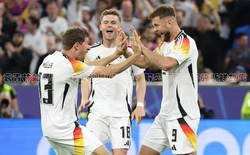 人人体育官方正版下载安装百家号