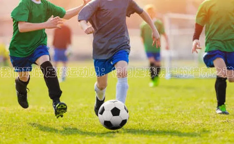 人人体育app直播下载百度取证