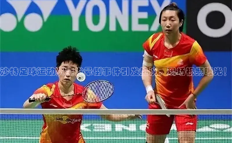 人人体育篮球直播nba下载百度翻译