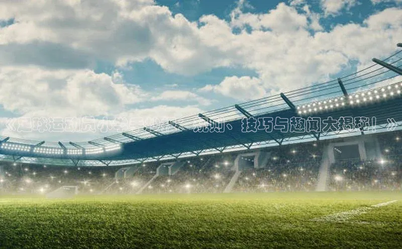 人人体育欧洲杯直播金山办公