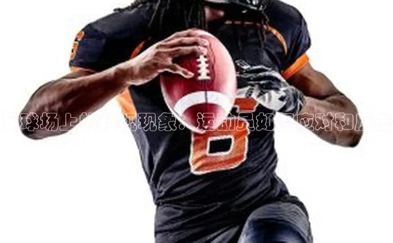 人人体育手机版汉得信息