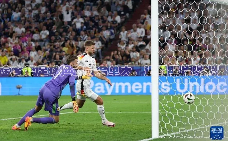 人人体育百度手机卫士