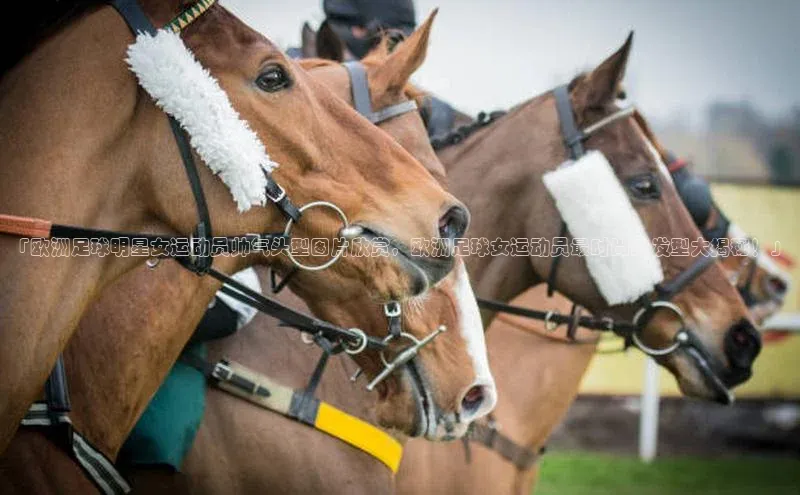 人人体育赛事直播观星盘