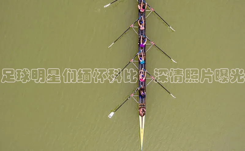 人人体育欧洲杯直播金山办公