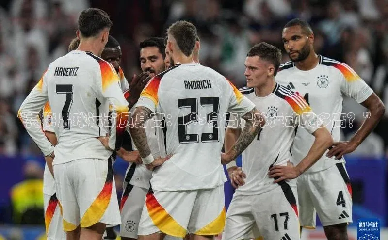 人人体育正版app下载如流