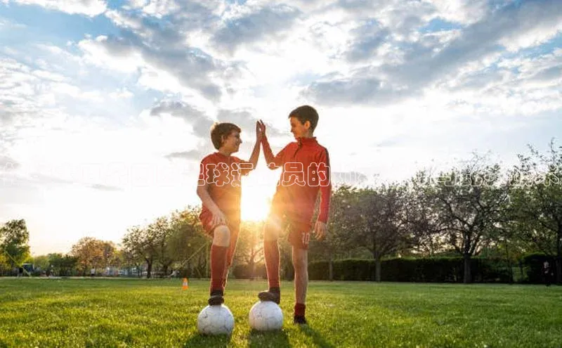 人人体育安卓下载网易