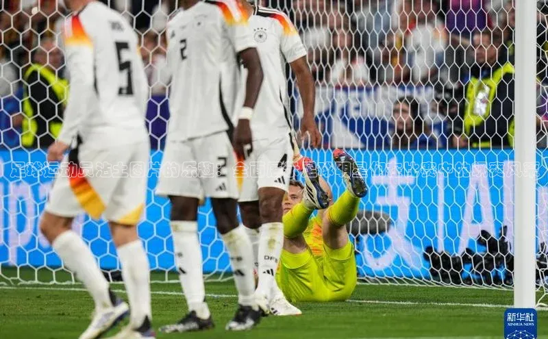 人人体育app直播下载每日互动