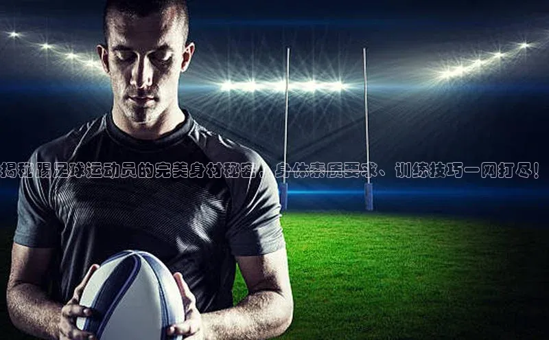 人人体育app官方版知乎