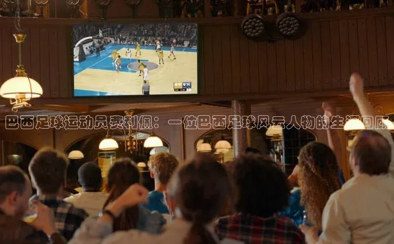 人人体育篮球直播nba下载京东