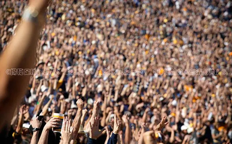 人人体育欧洲杯直播百度人工翻译