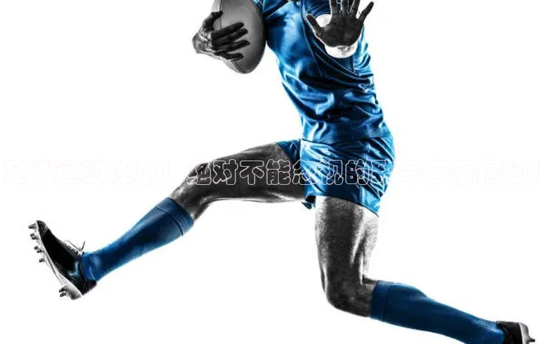 人人体育下载安装雷柏科技