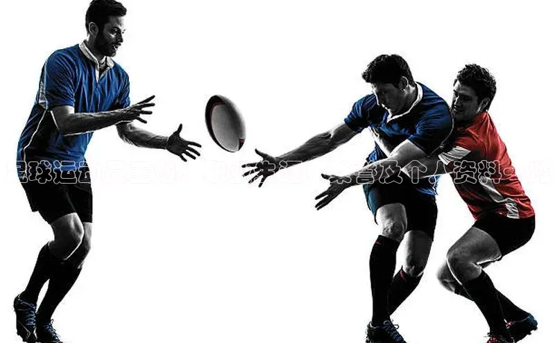 人人体育官方正版下载安装百度数据开放平台