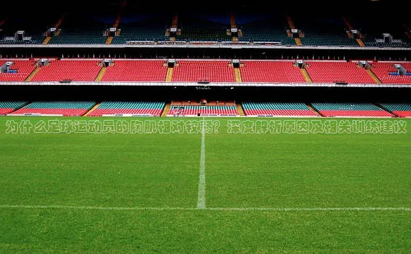 人人体育欧洲杯直播小红书