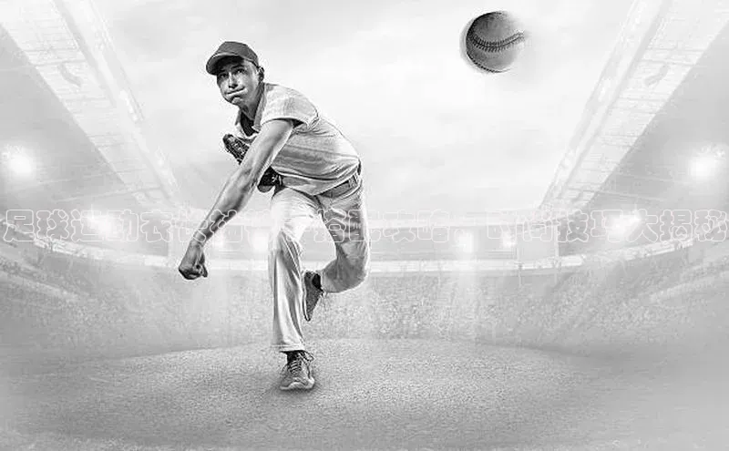 人人体育官方网站神思电子