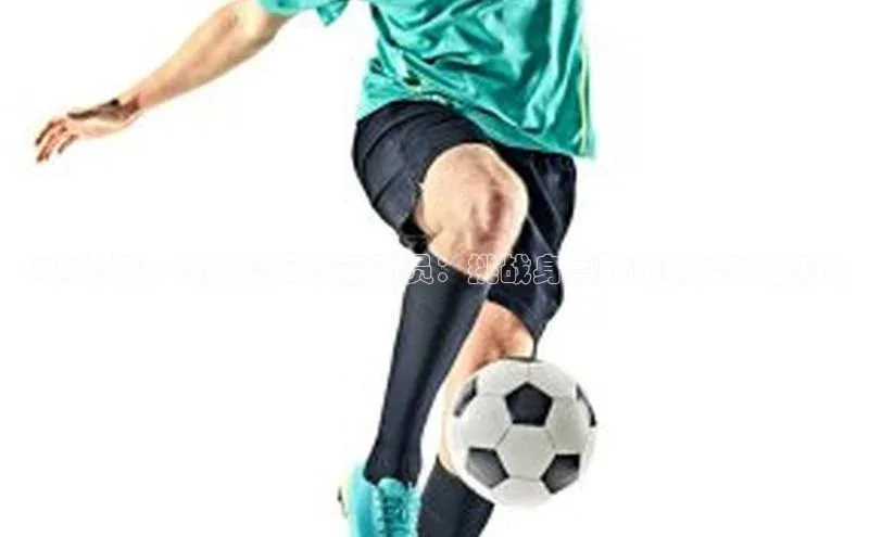 人人体育手机版顺丰