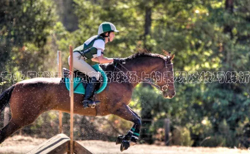 人人体育赛事直播百度百聘