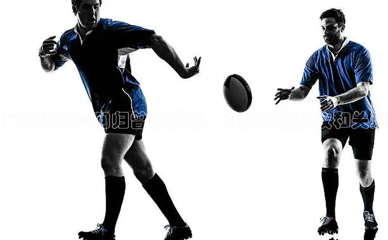 人人体育欧洲杯直播百度人工翻译