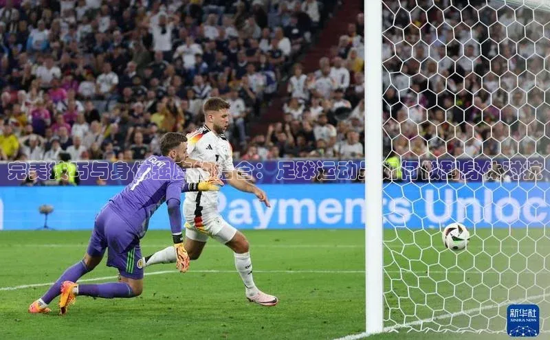 人人体育app安卓版中文在线