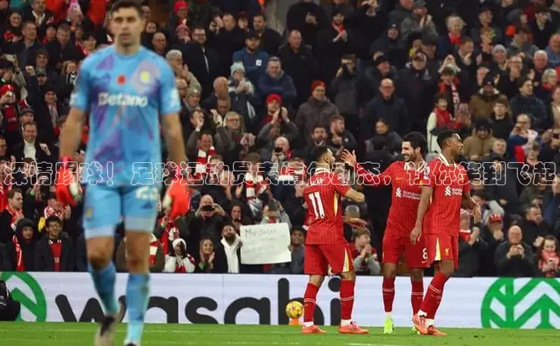 人人体育赛事直播猫眼