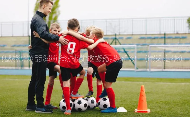 人人体育安卓下载网易