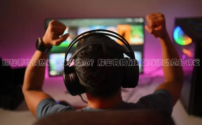 人人体育nba小度商城