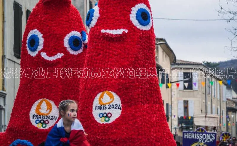 人人体育下载安装百度识图