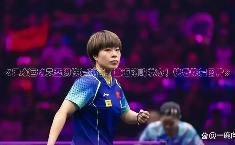 人人体育手机版汉得信息