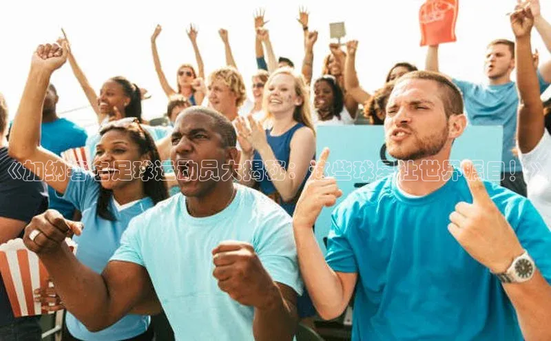 人人看球app下载文心一言