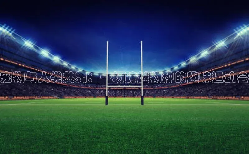 人人体育app下载安装