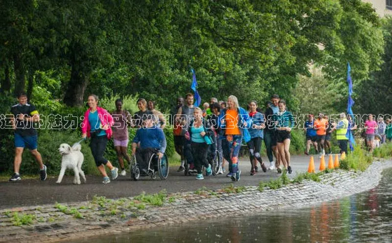 人人体育直播篮球