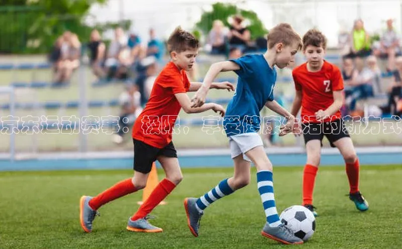 人人体育app安卓版