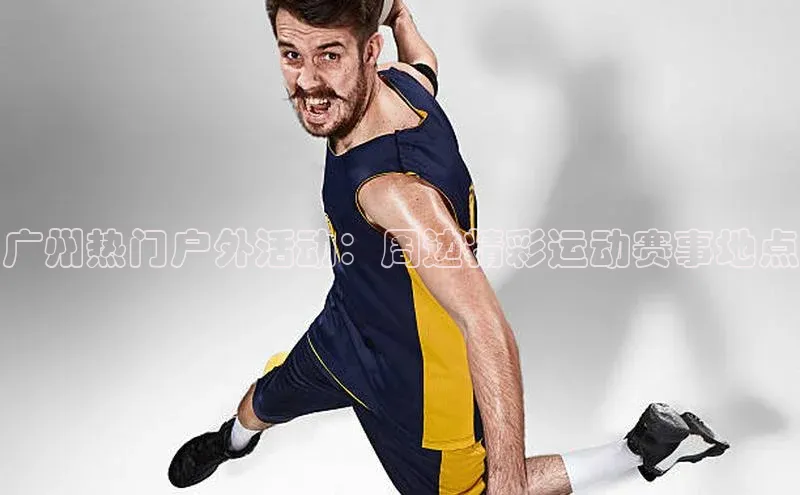 人人体育欧洲杯直播