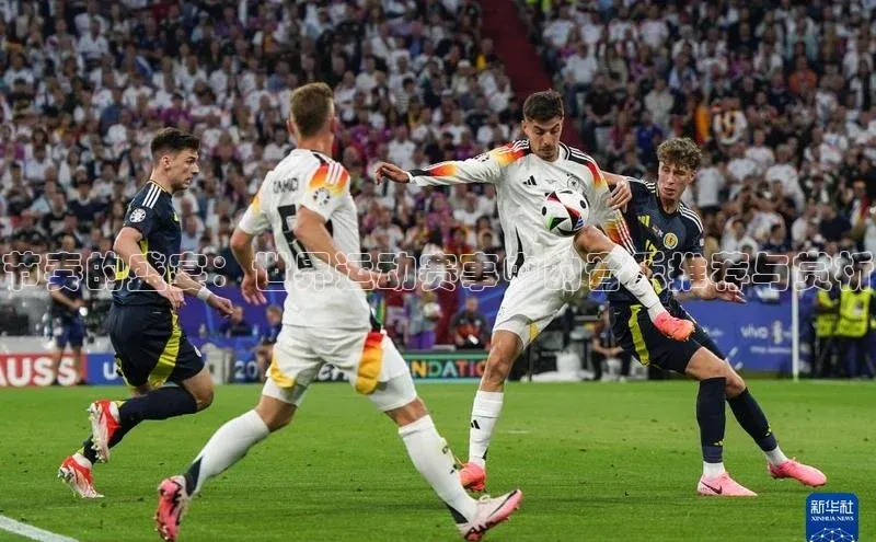 人人体育app官方版