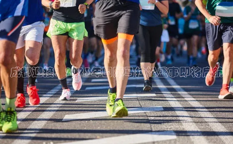 人人体育app官方下载最新版本