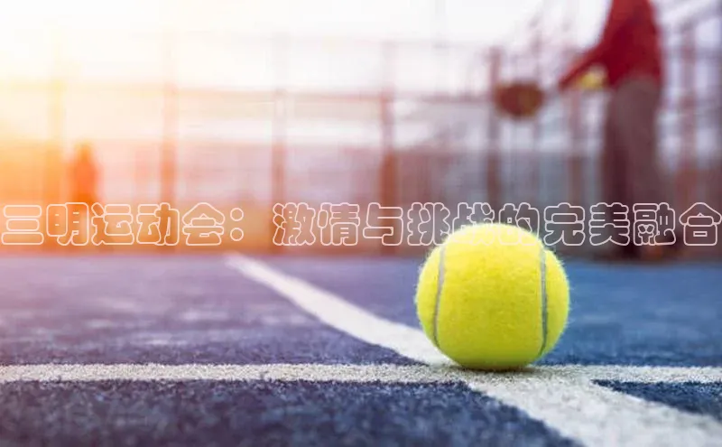 人人体育直播篮球