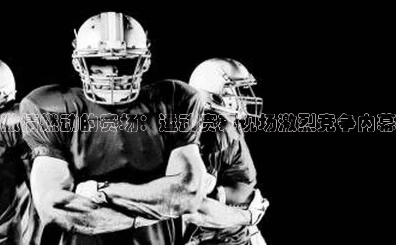 人人体育app官方版